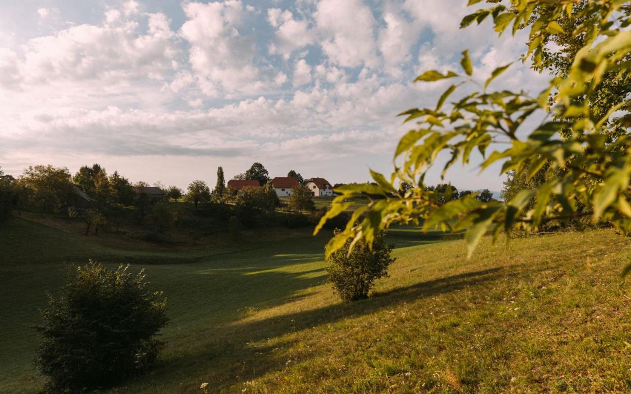Hisa Na Ravnah Hotel Pisece Exterior photo